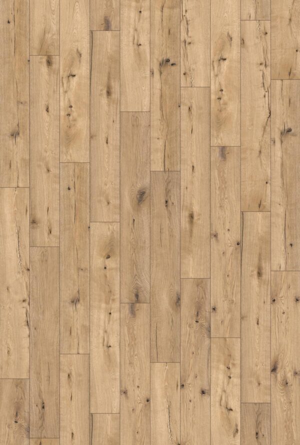 Trimble White Oak - Image 3